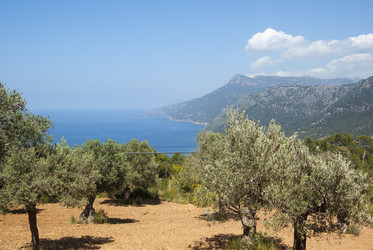 Similar image 5606723