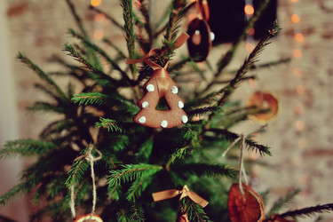 Similar image 5606785