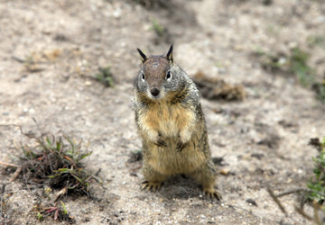 Similar image 5606942