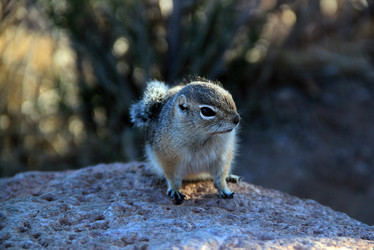 Similar image 5606955