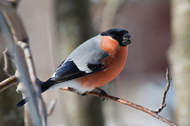 Similar image 5607010