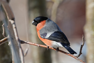 Similar image 5607012