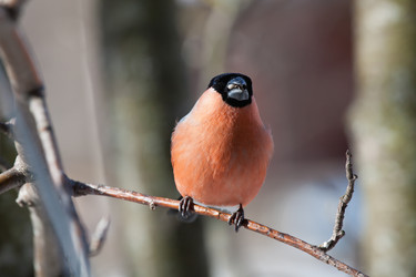 Similar image 5607013