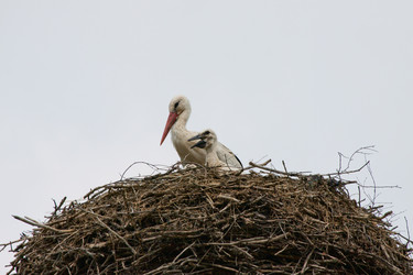 Similar image 5607020