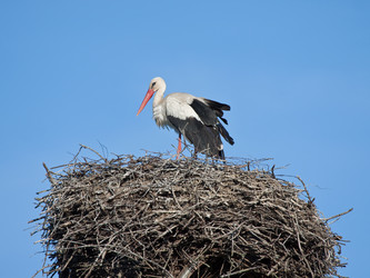 Similar image 5607021