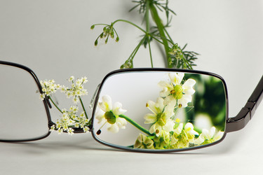 Similar image 5607030