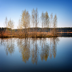 Similar image 5607066