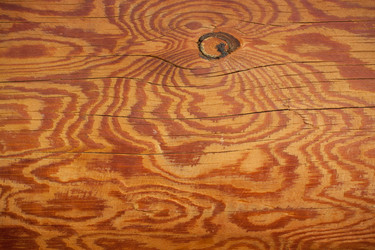 Similar image 5607155