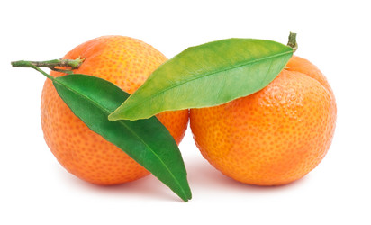 Similar image 5607158