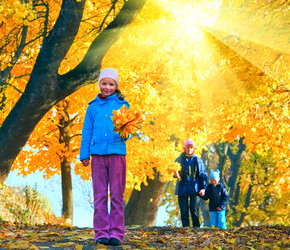 Similar image 5607186