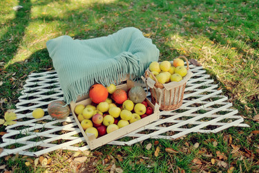 Similar image 5607220