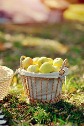 Similar image 5607221