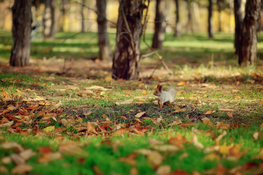 Similar image 5607223