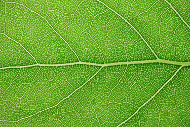 Similar image 5607235