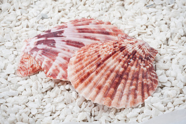 Similar image 5607264