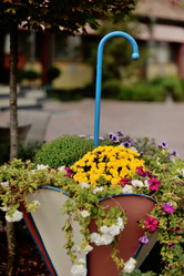 Similar image 5607319