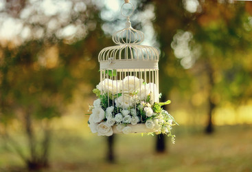 Similar image 5607322