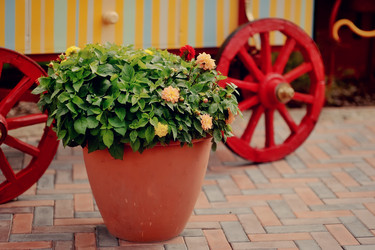 Similar image 5607324