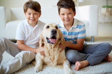 Similar image 5607474