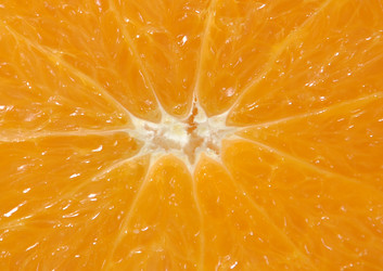 Similar image 5608235