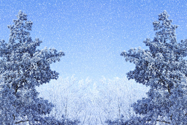 Similar image 5608248