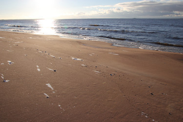 Similar image 5608249