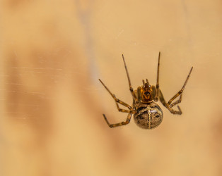 Similar image 5608261