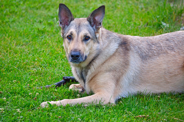 Similar image 5608262