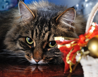 Similar image 5608279