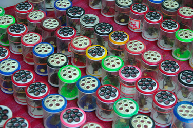 Similar image 5608304