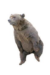 Similar image 5608305