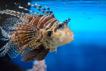 Similar image 5608377