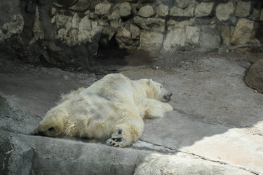 Similar image 5608391