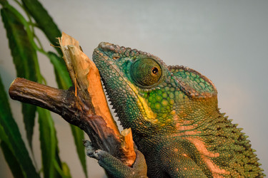 Similar image 5608392