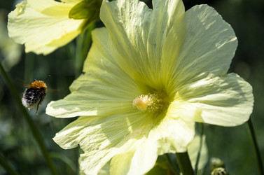 Similar image 5608393