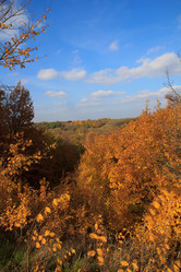 Similar image 5608599