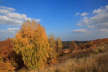 Similar image 5608600