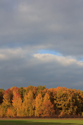 Similar image 5608601