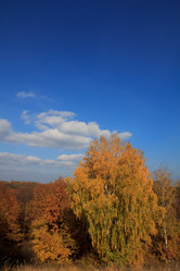 Similar image 5608602