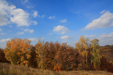 Similar image 5608603