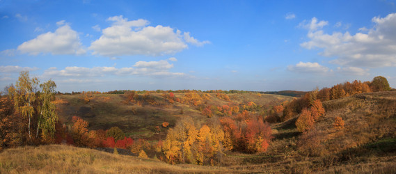 Similar image 5608607