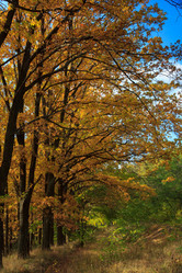 Similar image 5608617