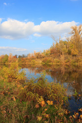 Similar image 5608619