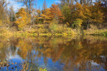 Similar image 5608621