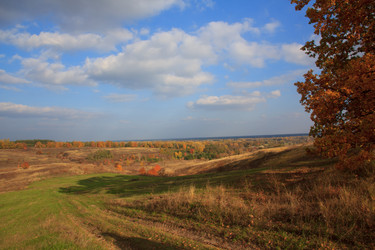 Similar image 5608623