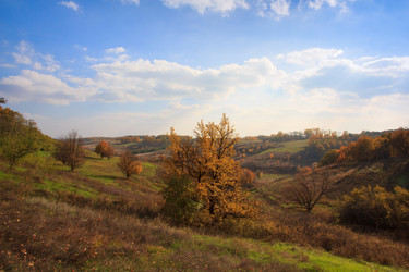 Similar image 5608629