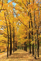 Similar image 5608630