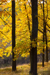 Similar image 5608632