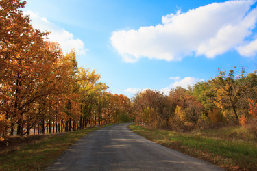 Similar image 5608633