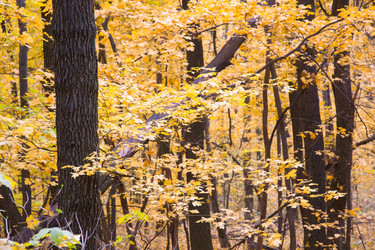 Similar image 5608637